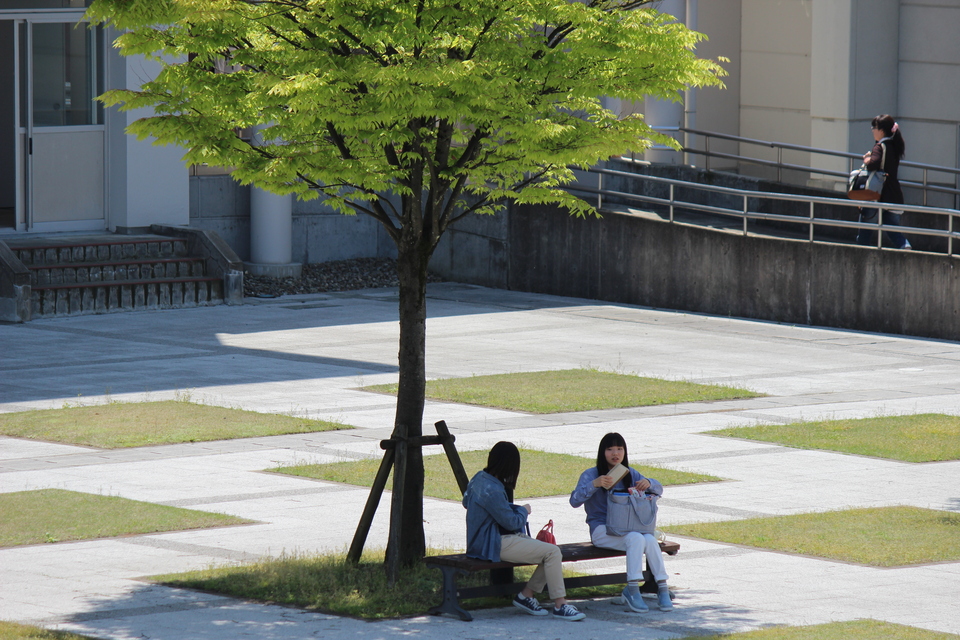 http://www.jindai.ac.jp/blog/uploads/IMG_8387.jpg