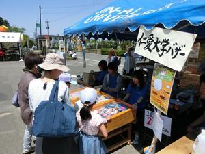 20160504b越前市あじまの万葉まつり（金田ゼミ、島岡ゼミ）仁愛大学014.jpg