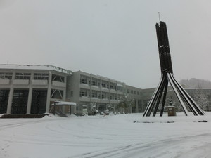 20180126snowinjindai010.jpg