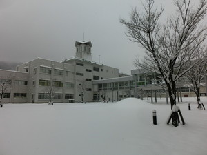 20180126snowinjindai018.jpg