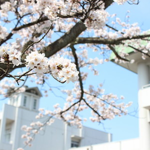 令和2年度入学生　学長メッセージ