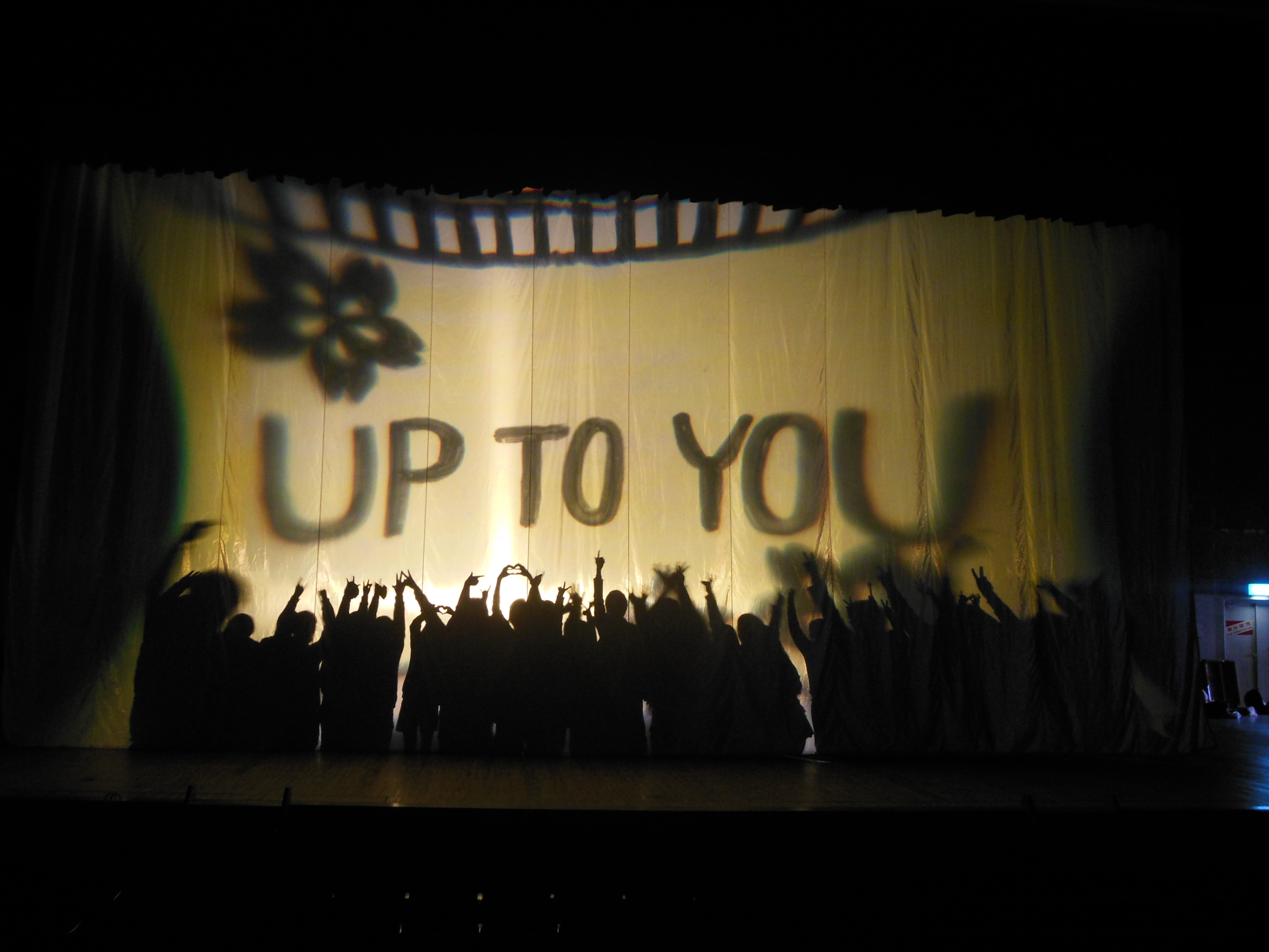 Up to you.JPG