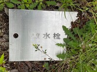 散水栓の蓋.jpeg