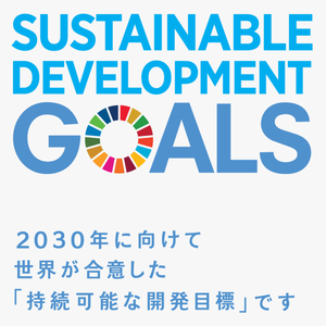 sdg_icon_18_ja.png