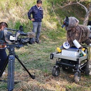 自走式遠隔操縦モンスターウルフ(ウルフムーバー)実証検証実験開始