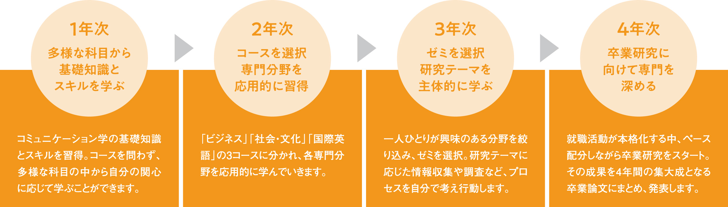 4年間の学びの流れイメージ画像