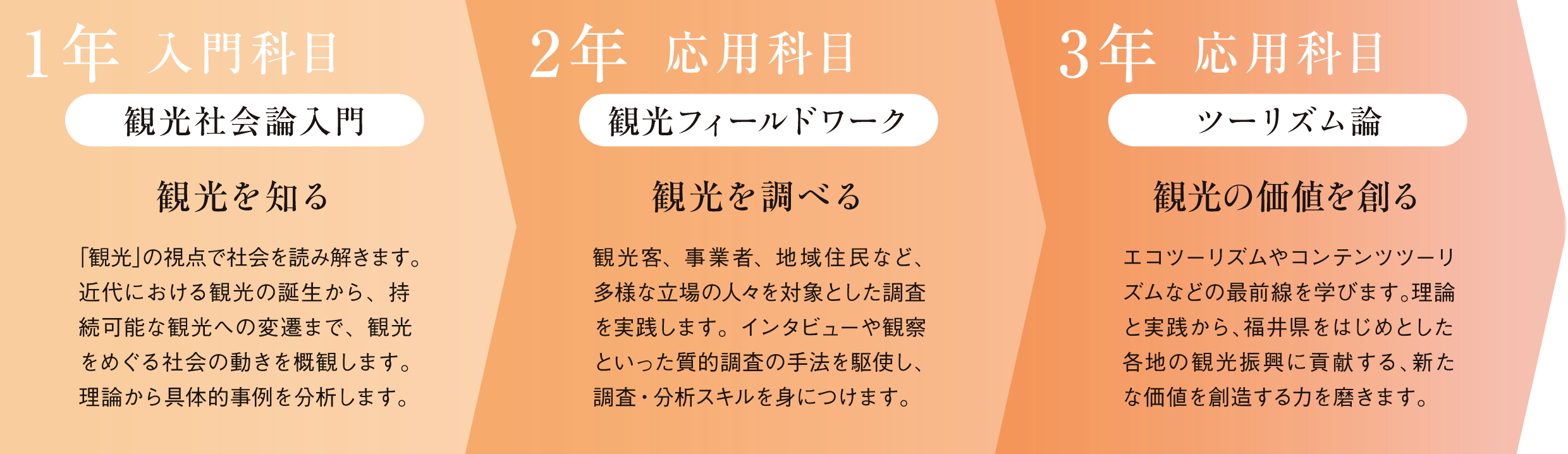 観光学コース