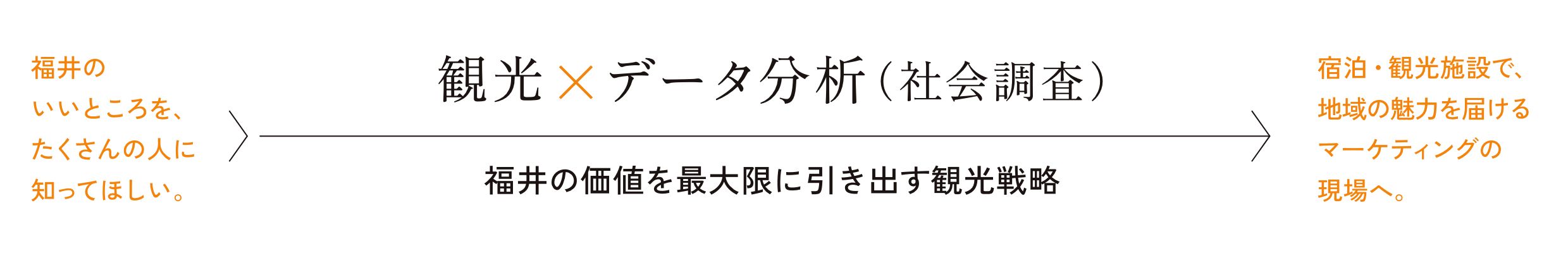 観光×データ分析（社会調査）