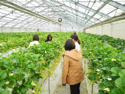 浦本裕美ゼミ イメージ写真