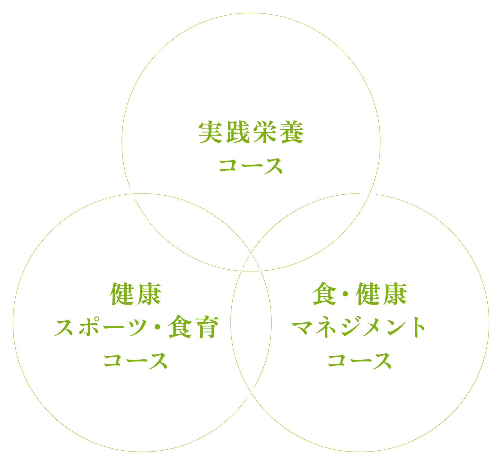 学びの領域イメージ図
