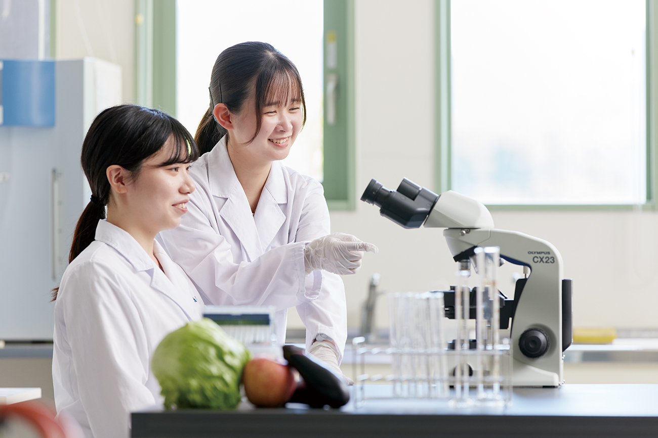 フィールドーワークイメージ写真