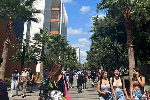 現地の様子の写真