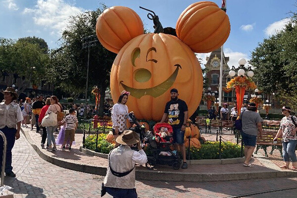 ディズニーランド写真