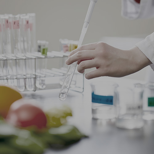 健康栄養学科