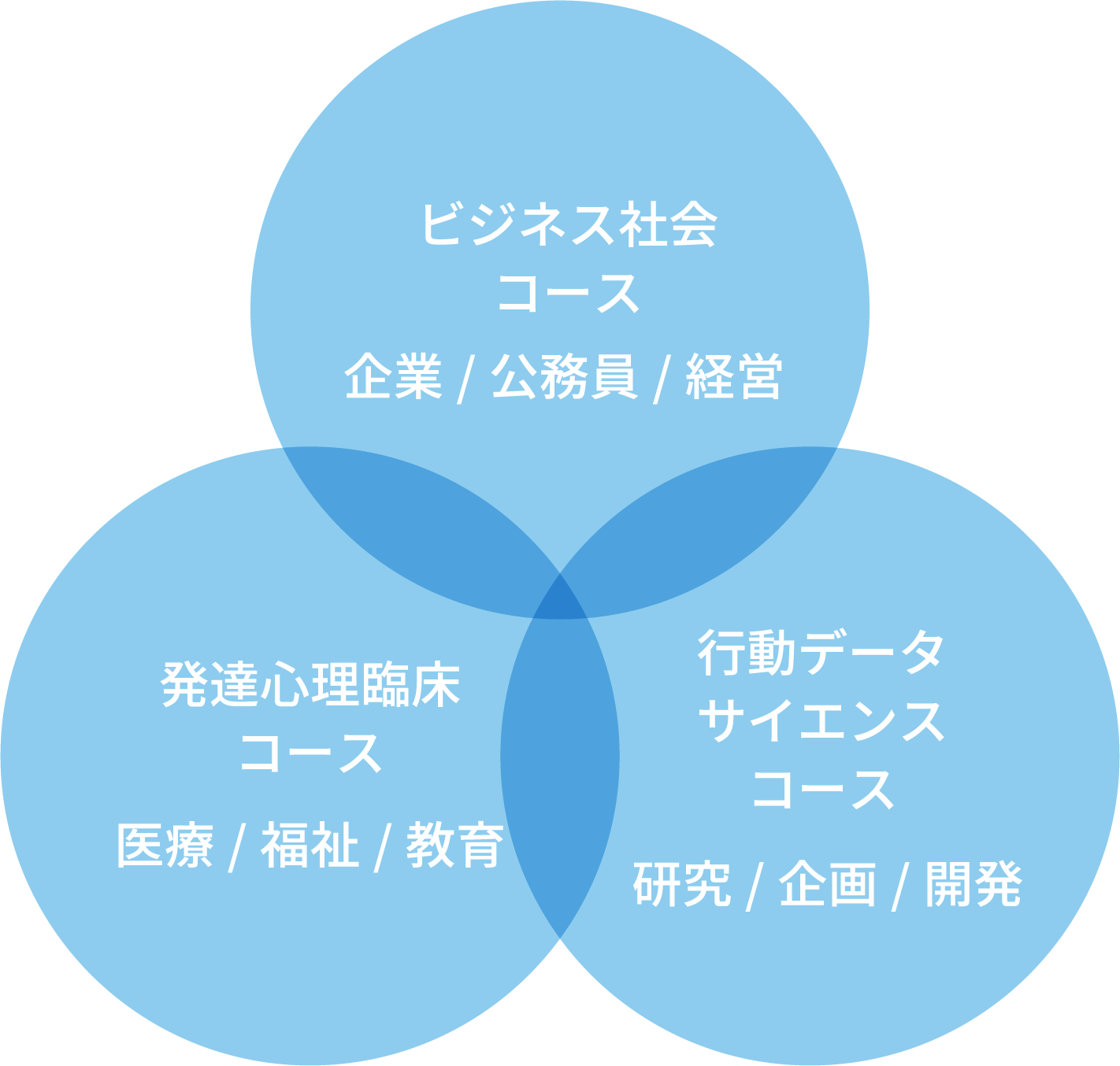 ビジネス社会コース発達心理臨床コース行動データサイエンスコース