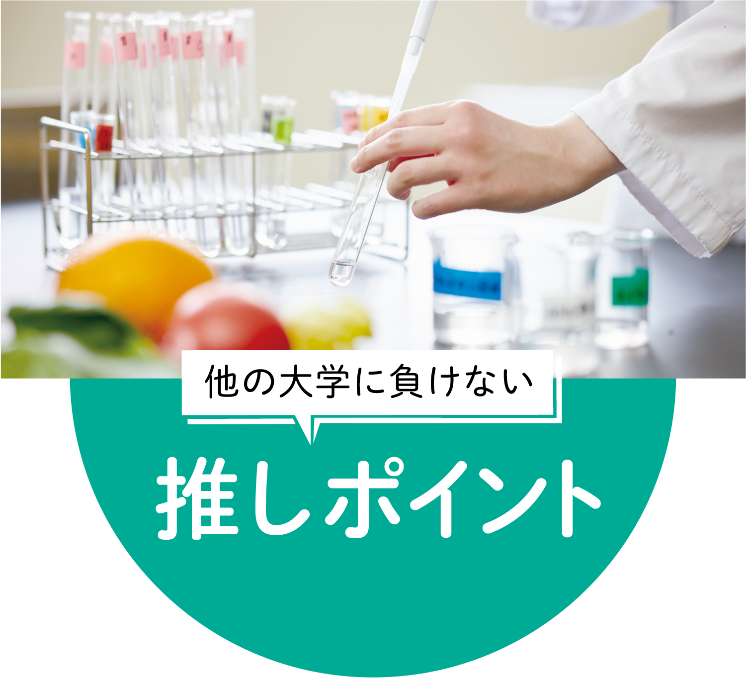 推しポイント
