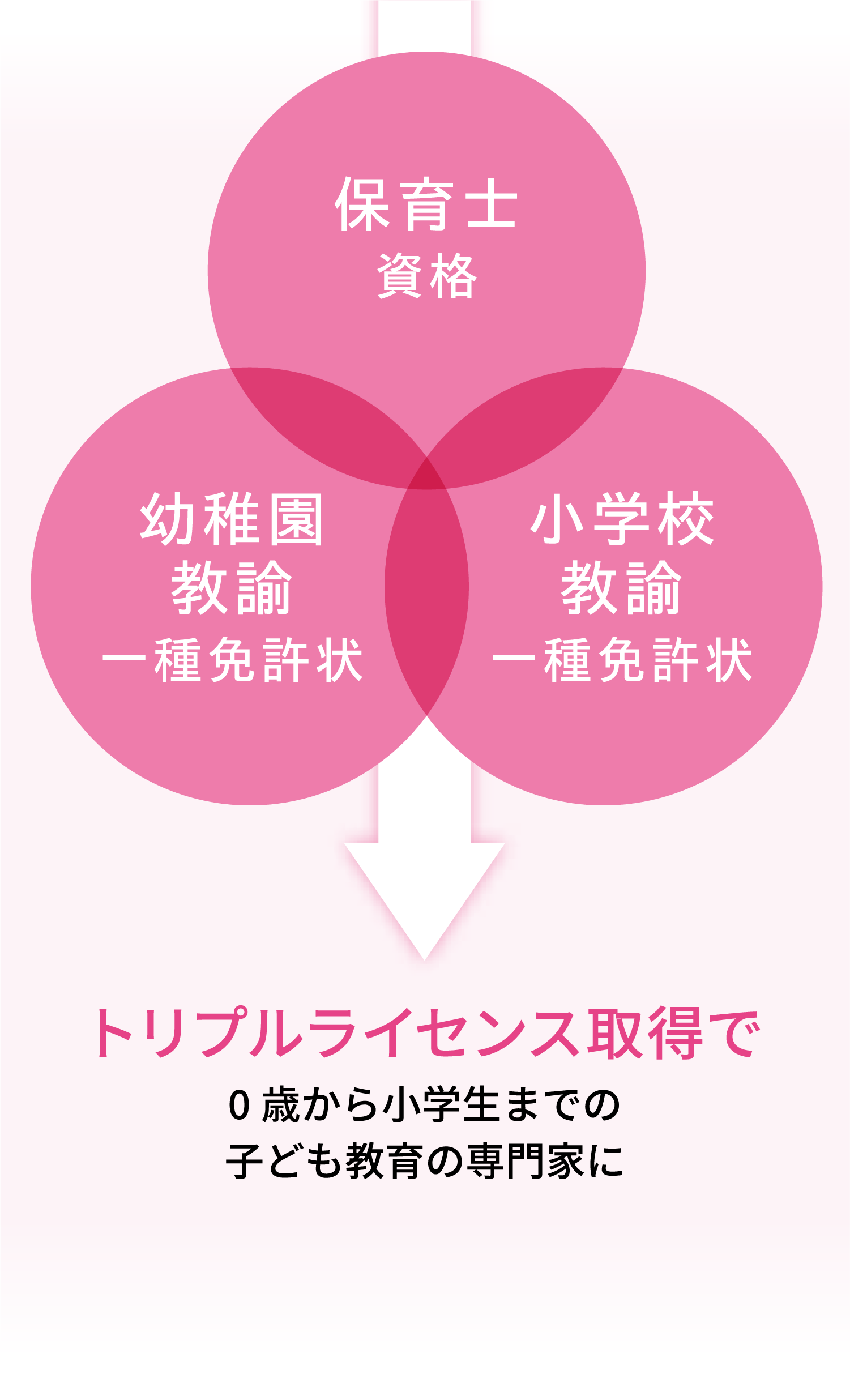トリプルライセンス取得で