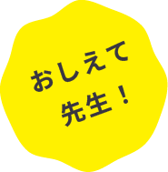 おしえて先生！